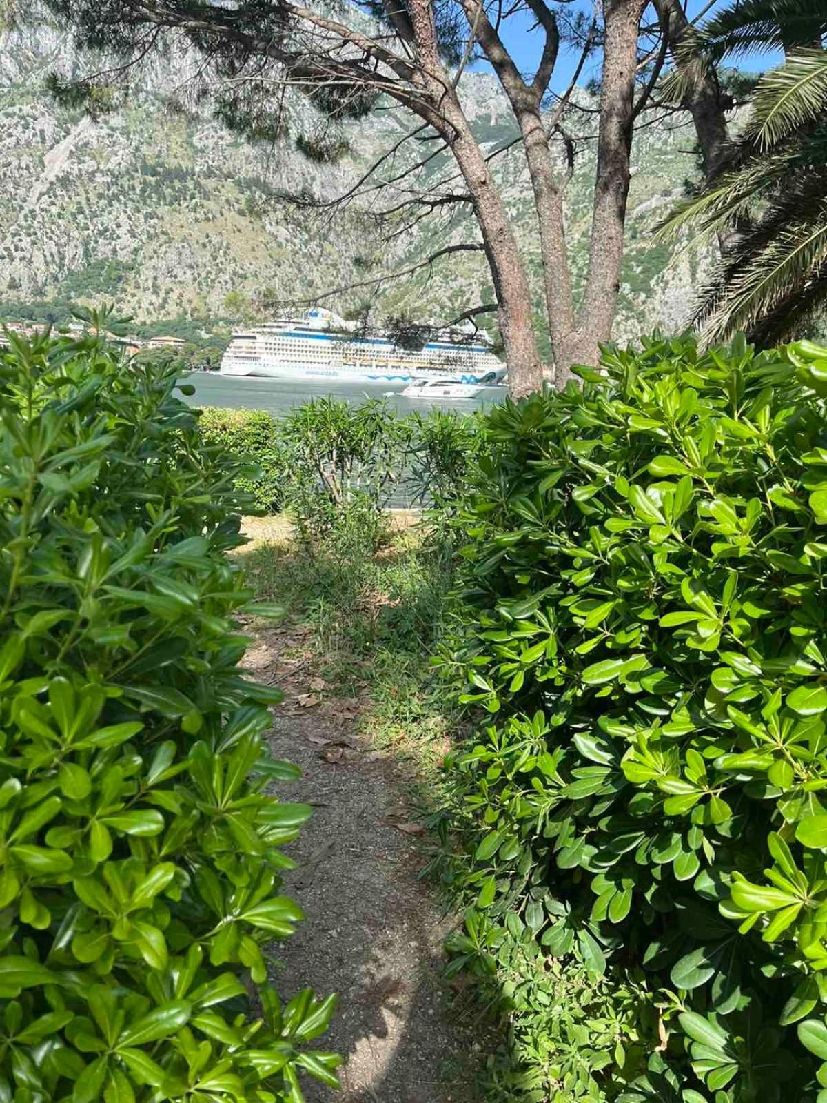 Asija Apartment Kotor Exterior photo